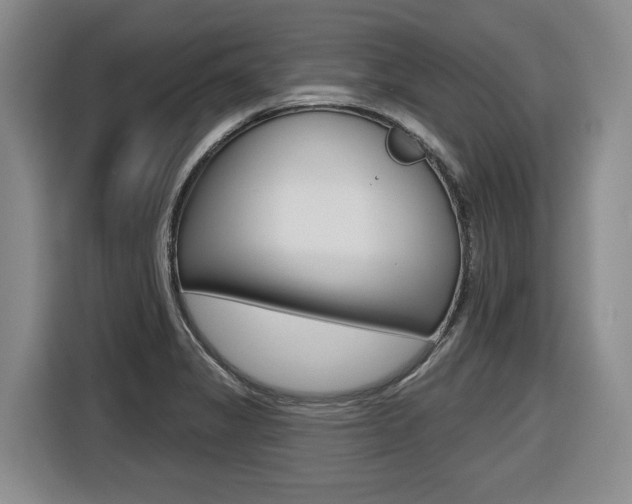 X0000116571325200912100955