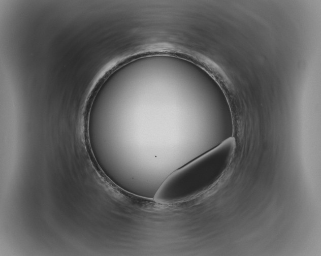 X0000116571326200912100955