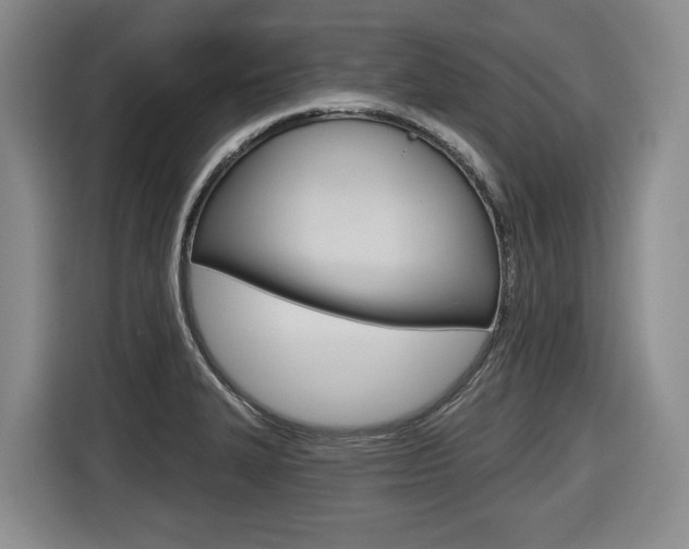 X0000116571327200912100955
