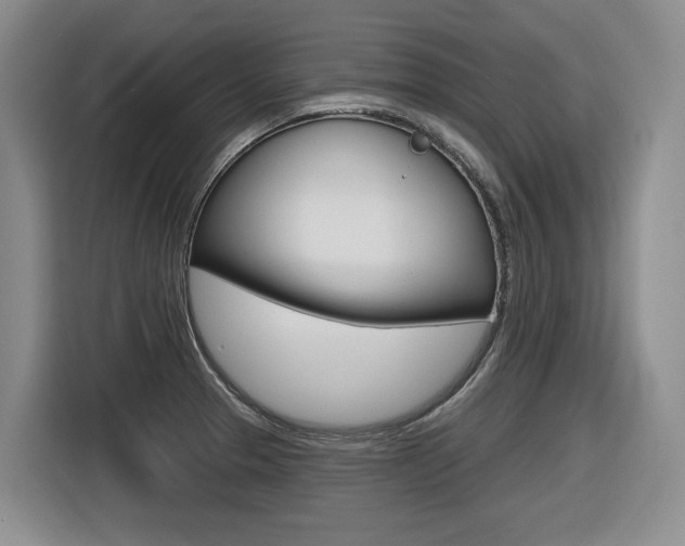X0000116571329200912100956