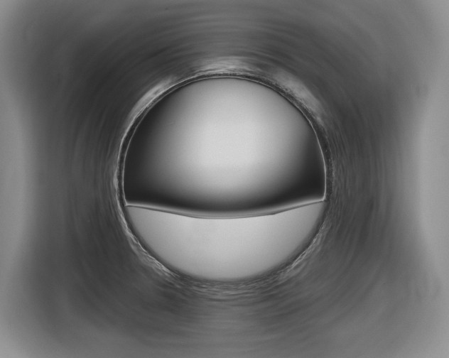 X0000116571330200912100956