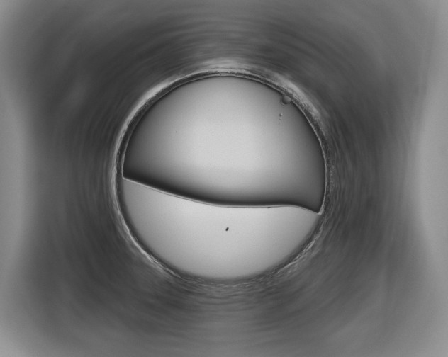 X0000116571331200912100956