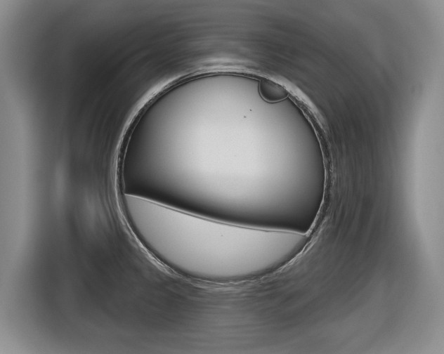 X0000116571333200912100956