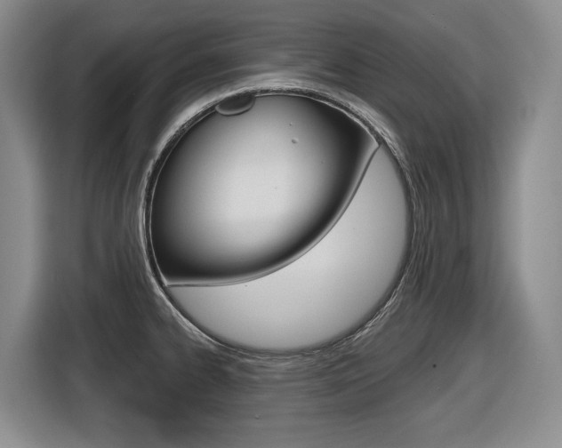 X0000116571334200912100956