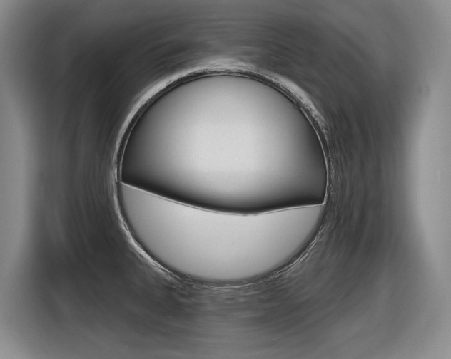 X0000116571335200912100956
