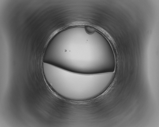 X0000116571337200912100956