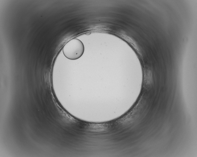 X0000116571338200912100956