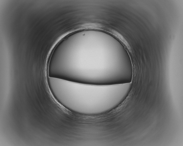 X0000116571339200912100956