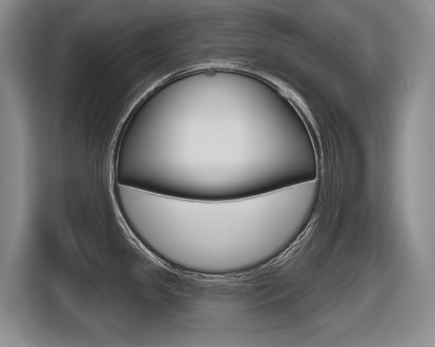 X0000116571341200912100956
