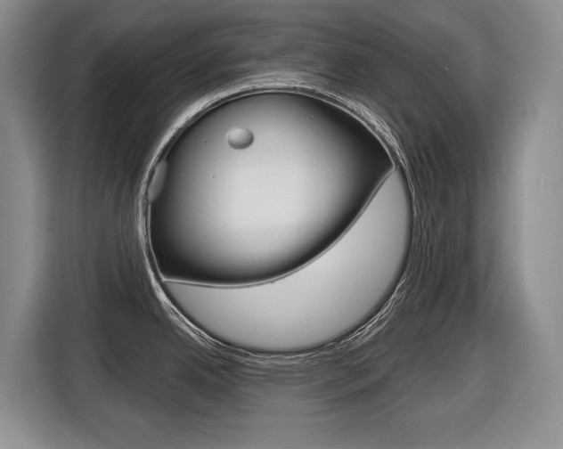 X0000116571342200912100956