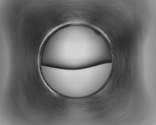 X0000116571343200912100956