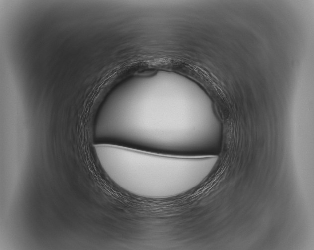 X0000116571345200912100955