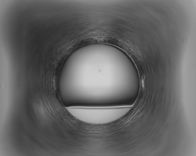 X0000116571347200912100955