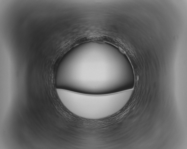 X0000116571348200912100955