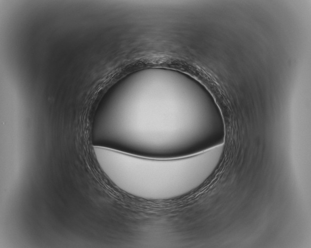 X0000116571349200912100955