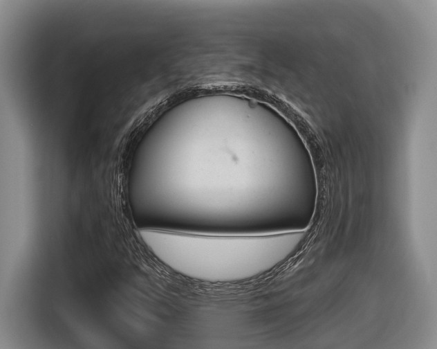 X0000116571351200912100955