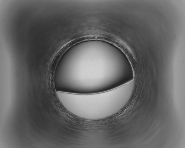 X0000116571352200912100955