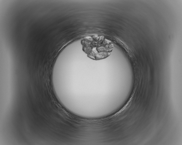 X0000116571353200912100955