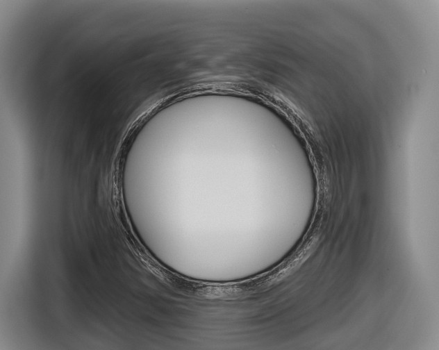 X0000116571354200912100955