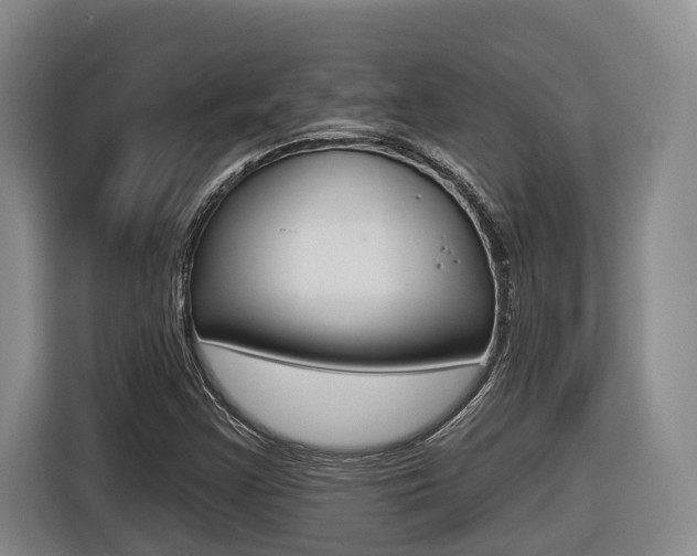 X0000116571355200912100955