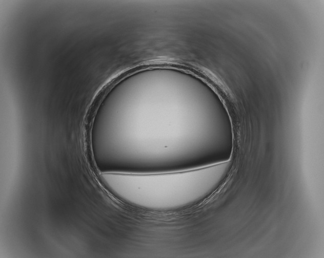 X0000116571356200912100955