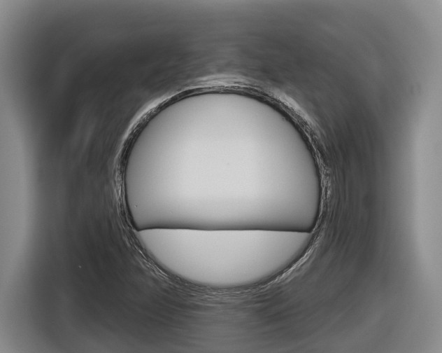 X0000116571358200912100955