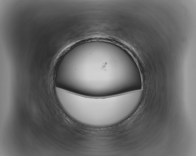 X0000116571359200912100955