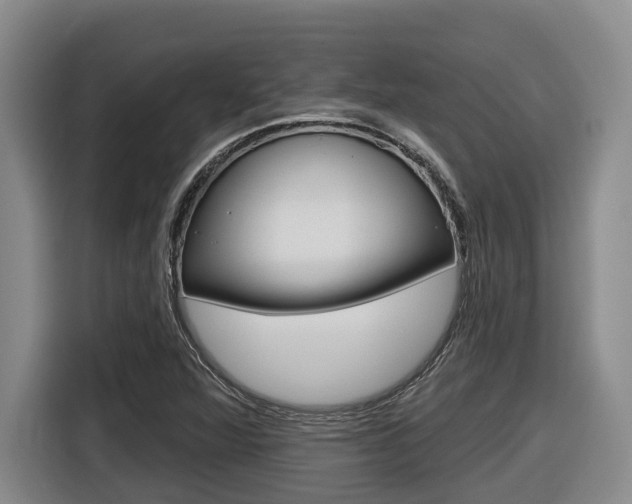 X0000116571360200912100955