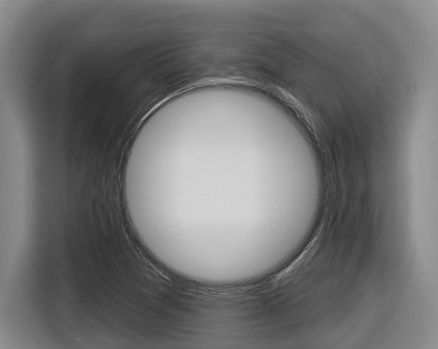 X0000116571361200912100955
