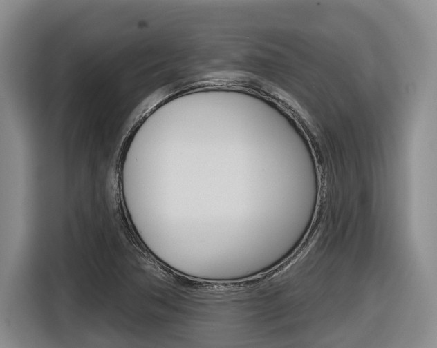 X0000116571362200912100955