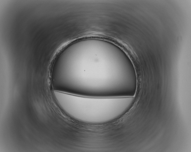 X0000116571363200912100955