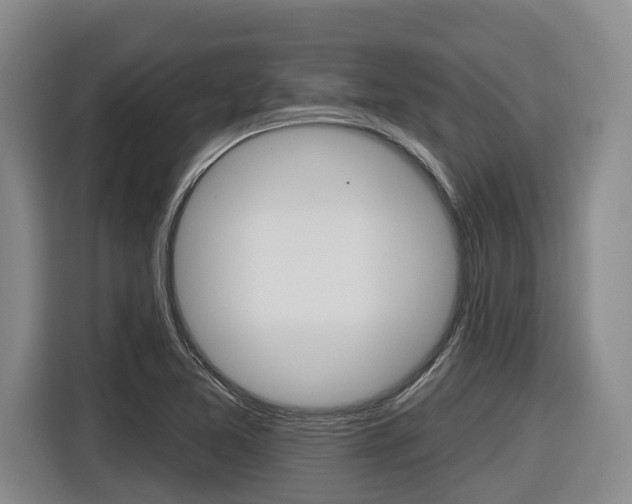 X0000116571365200912100955