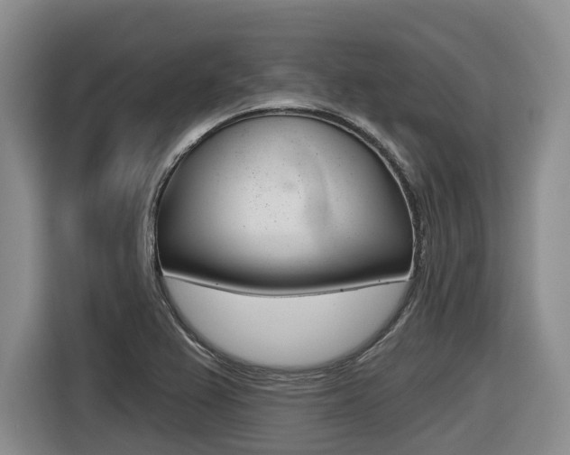 X0000116571367200912100955