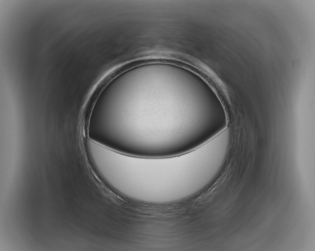 X0000116571368200912100955