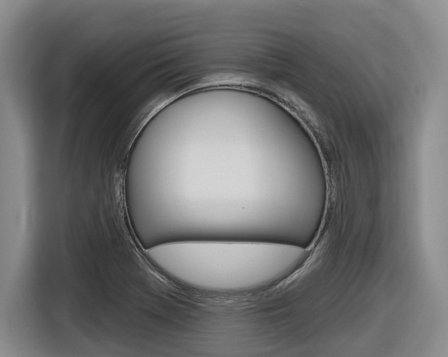 X0000116571369200912100955