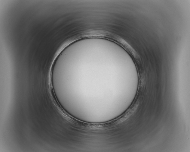 X0000116571370200912100955