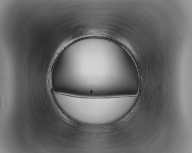 X0000116571371200912100955