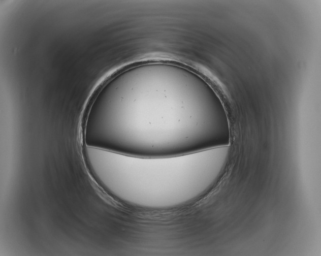 X0000116571372200912100955