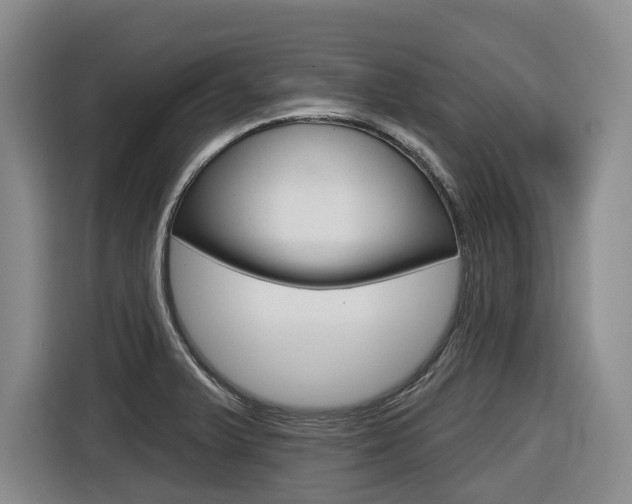 X0000116571375200912100955