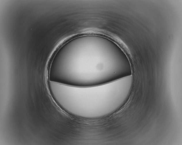 X0000116571376200912100955