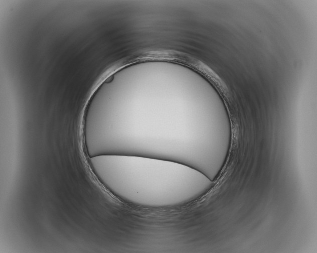 X0000116571378200912100955