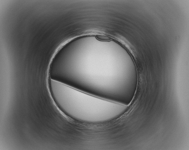 X0000116571379200912100955
