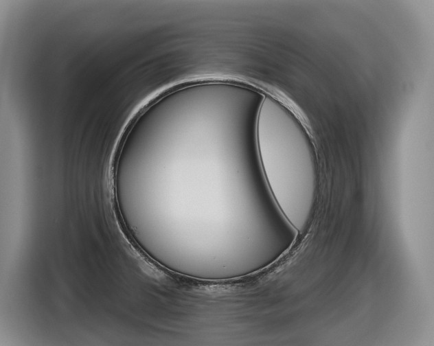 X0000116571380200912100955