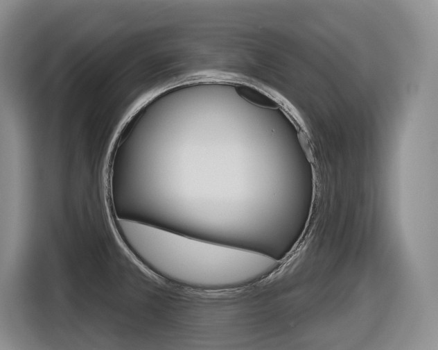 X0000116571381200912100955