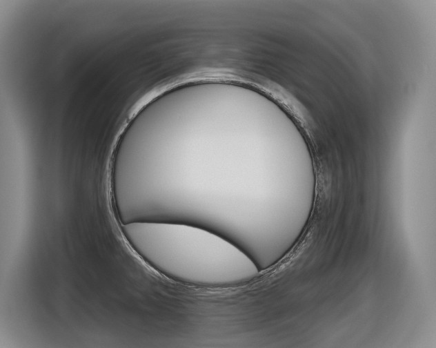 X0000116571382200912100955