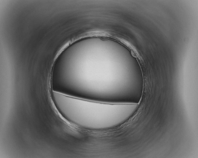 X0000116571383200912100955