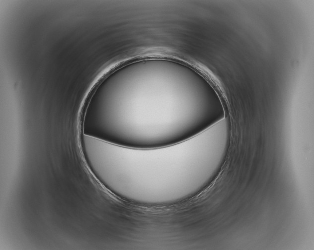X0000116571384200912100955