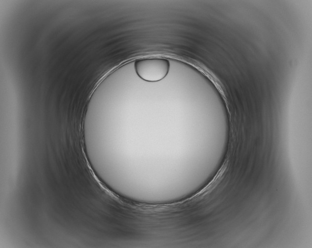 X0000116571385200912100955