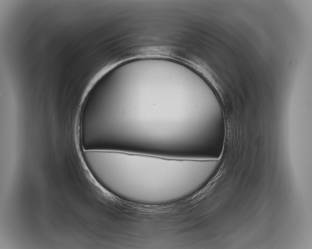 X0000116571387200912100955