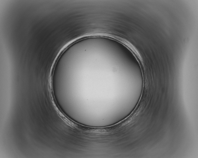 X0000116571388200912100955